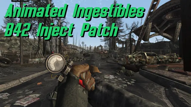 Animated Ingestibles — B42 Inject Patch